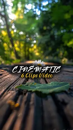 6 Clips Video