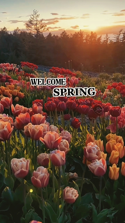 WILLKOMMEN FRÜHLING 2026 
