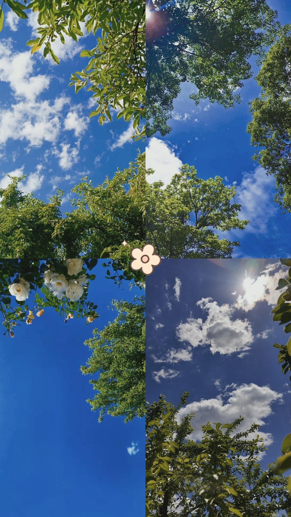 Nature Speaks