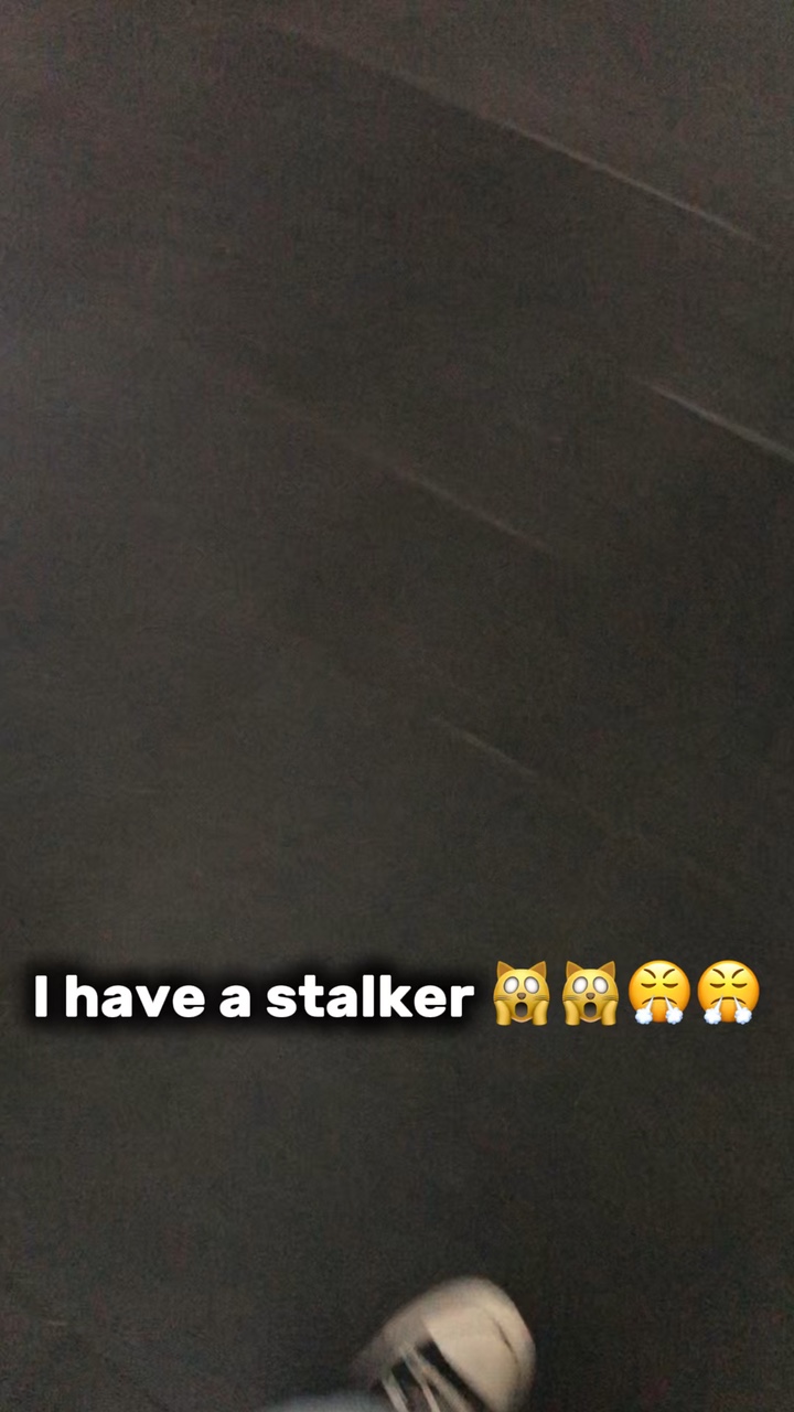 stalking kitty 🙀🙀😤😤