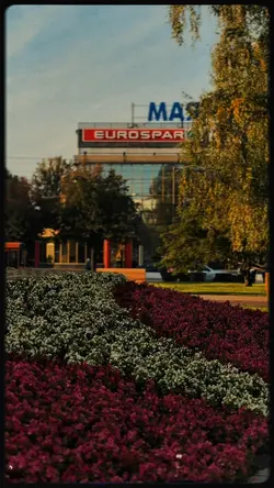 Film old 1 t Пленка