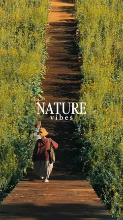 Nature Vibes.