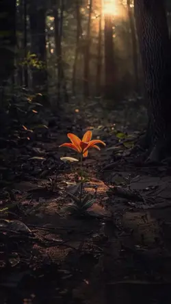 Simple 5 video clips