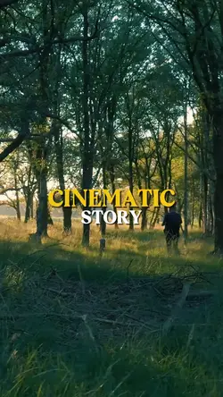 Cinematic Story