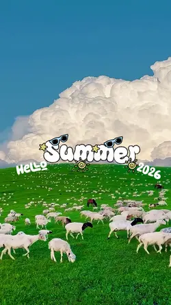Summer Vibes