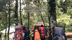 ga diajak beli telor