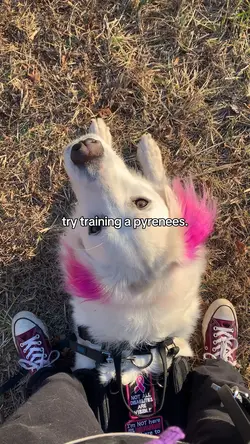 <33