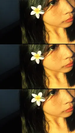 pictures