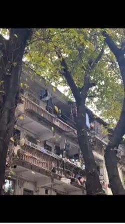 “我从来都不是什么特别坚强的人”