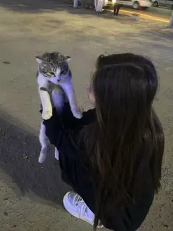 bilmemanlatabildimmi