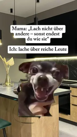 Dog laughing 
