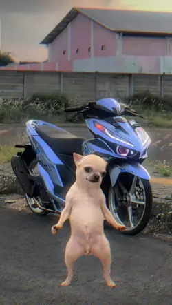 anjing joget trend
