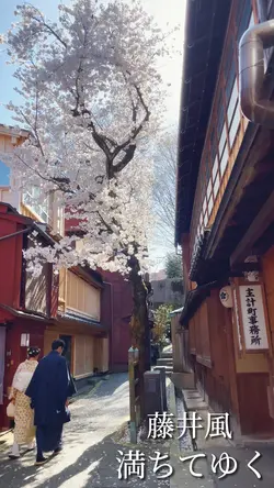 四月になれば彼女は🎥