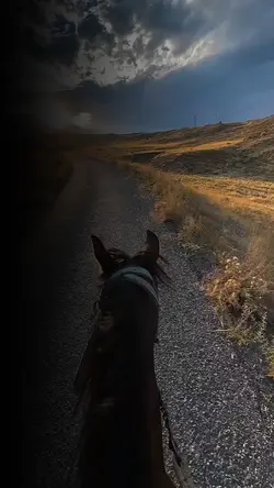Roj Çu Ava..