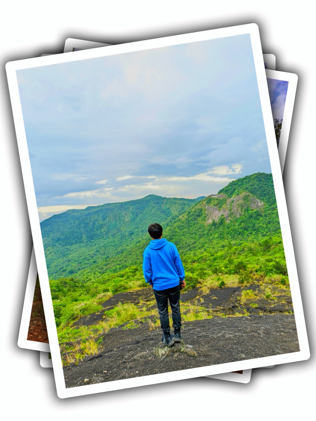 Cover Picture