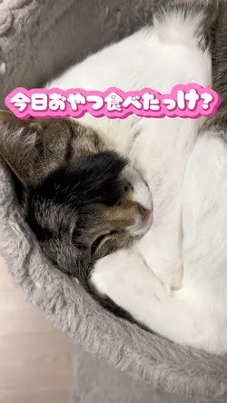 おやつ食べたっけ？