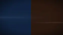 duo