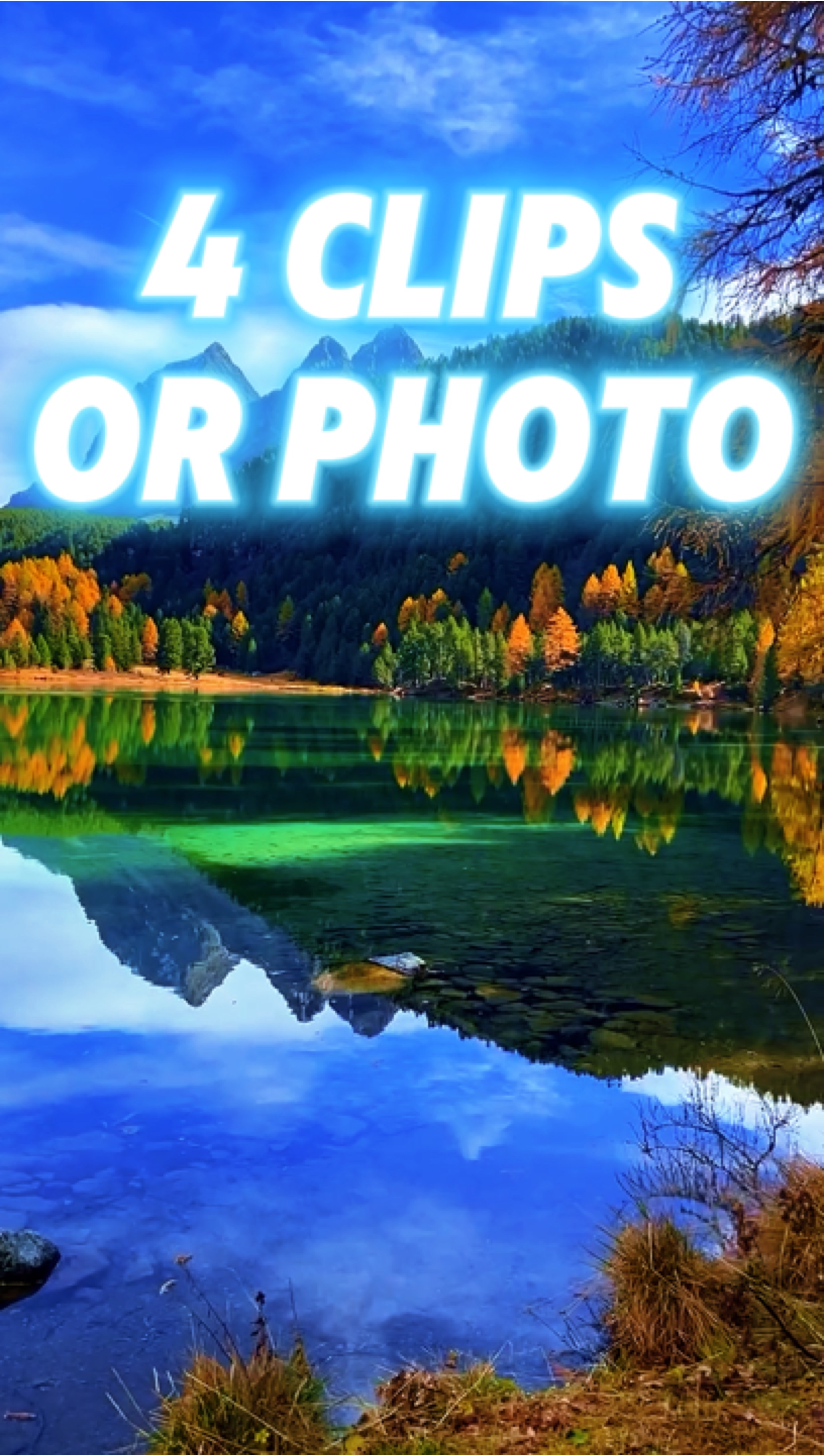 4 clips or photo 