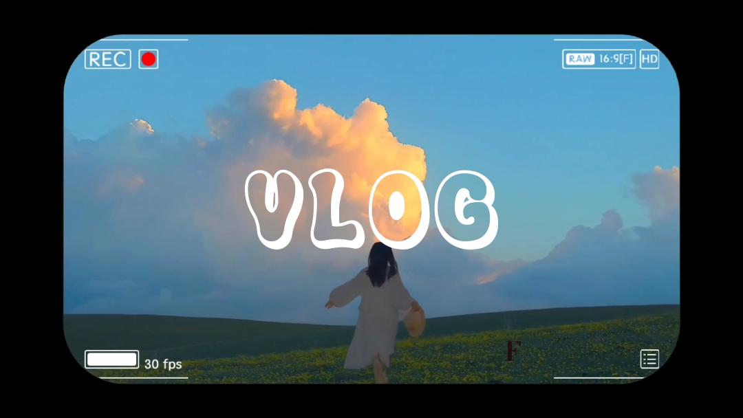 vlog 