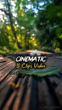8 CLIPS VIDEO 