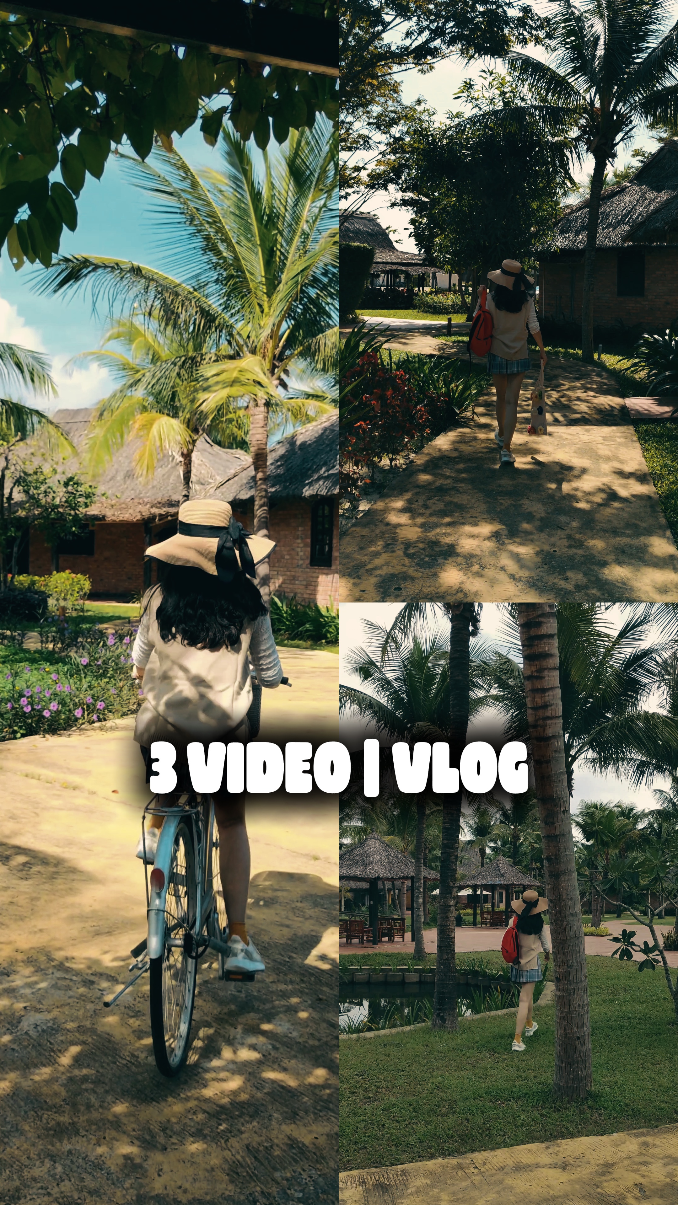 3 VIDÉO | VLOG