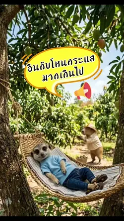 อินกับข่าว