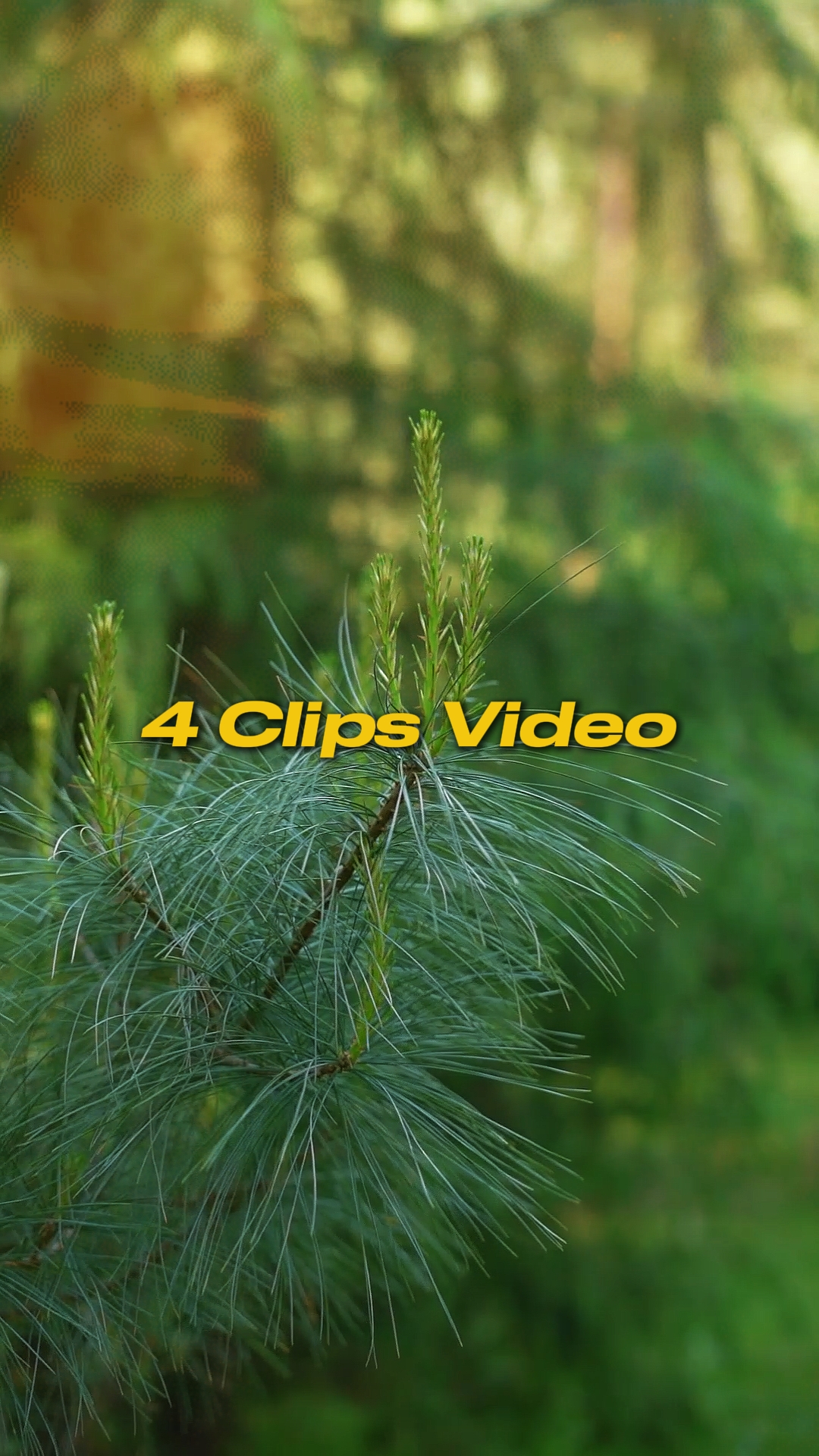 Cinematic 4 Video