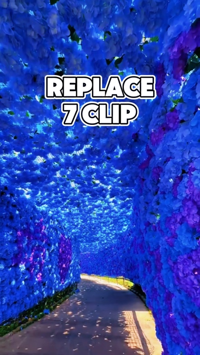 7 Mga Clip