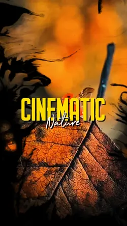 Cinematic nature