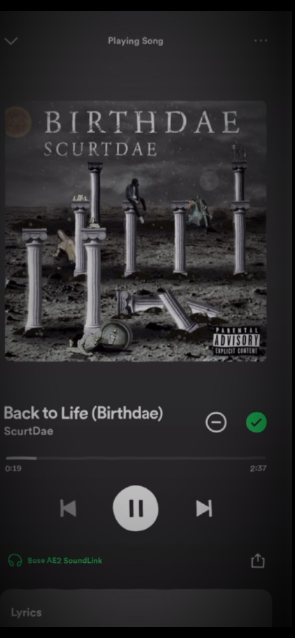 This song is fire