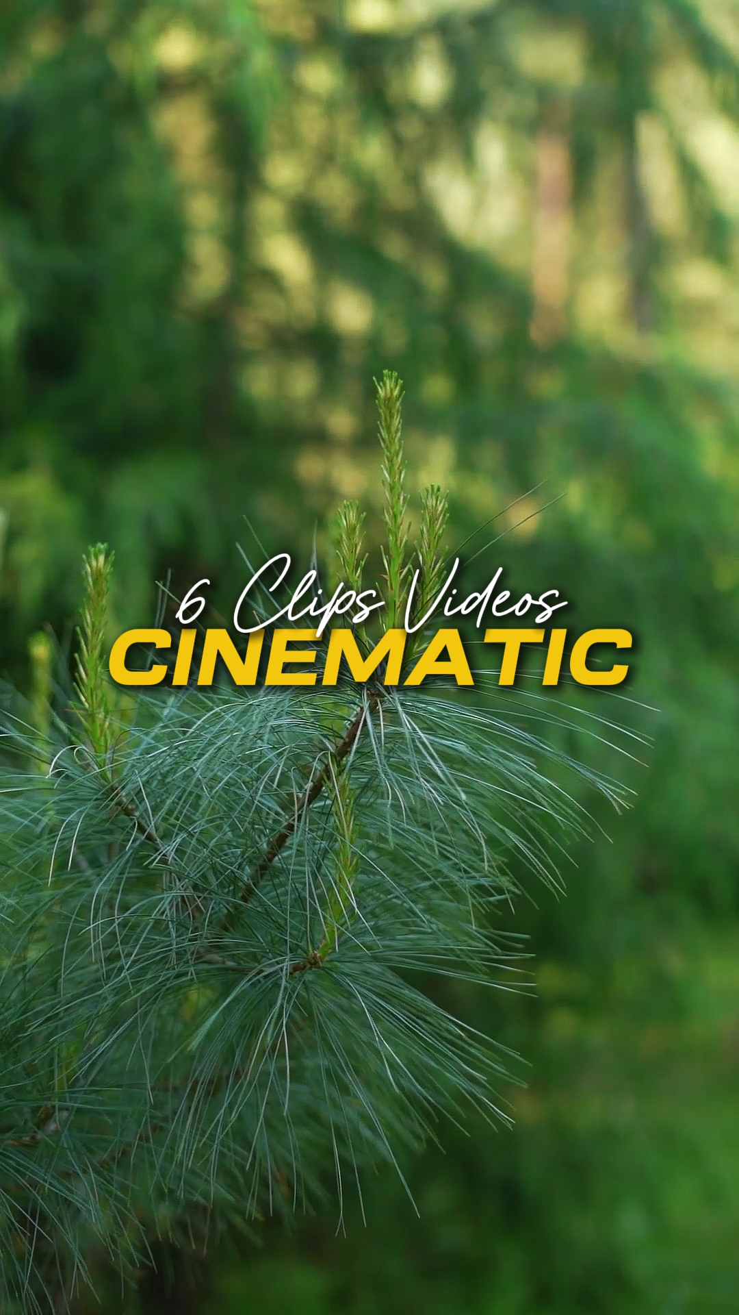 Karya Sinematik 6 Video