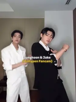 FANCAM