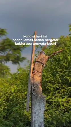 ternyata lapar