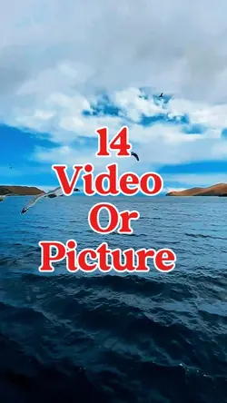 14 video or picture 