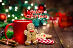 Merry Christmas 🎄 