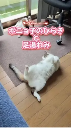 【ポニョ子のひらきと足湯れみ】