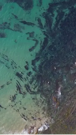 Drone landscape shot