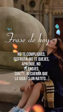 frase de hoy