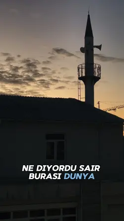 Şiir 