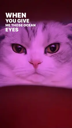 OCEAN EYES