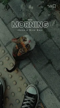Good Morning 