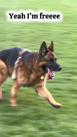 I’m free