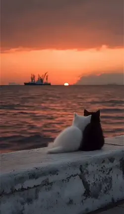 ^^