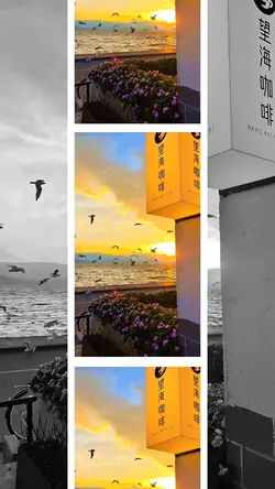 12 video or photo