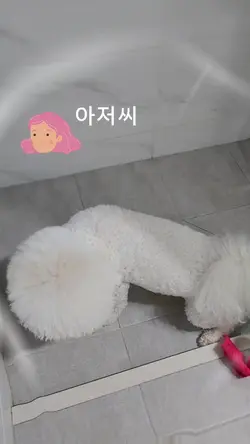 아저씨 뭐하는거에요 지금?