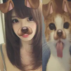 snapcat dog filter