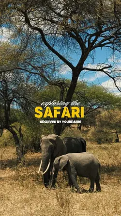 exploring the safari