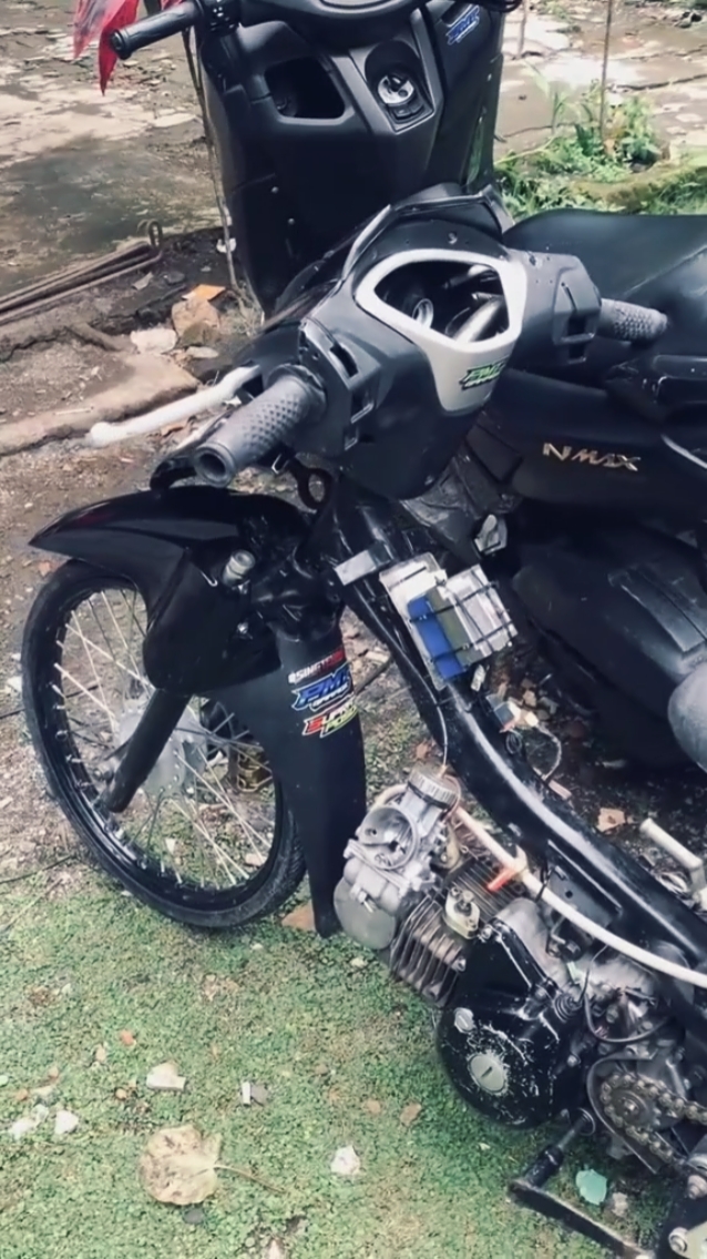 Cover Picture