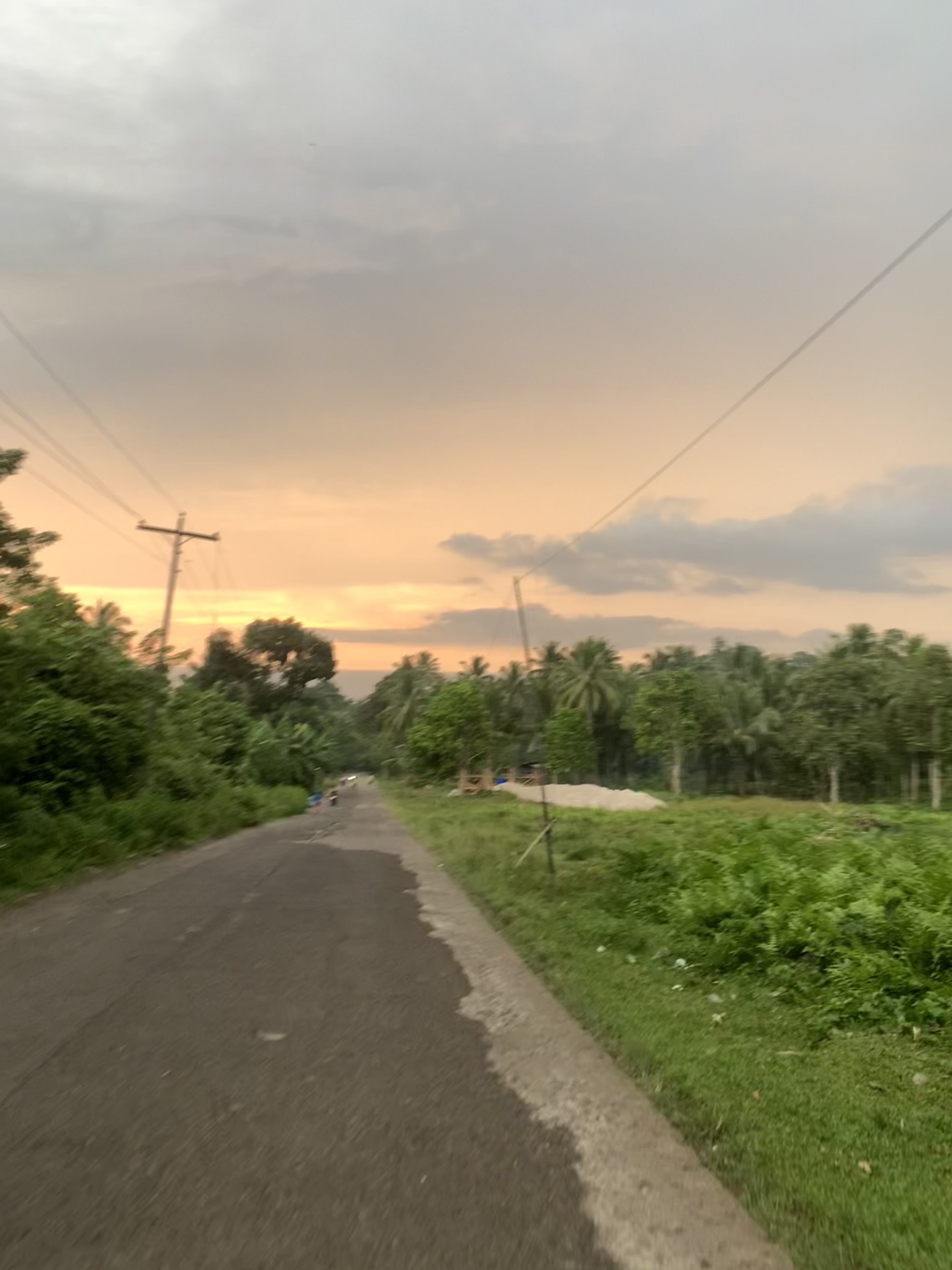 Tagaran kurakuman 🌸💕