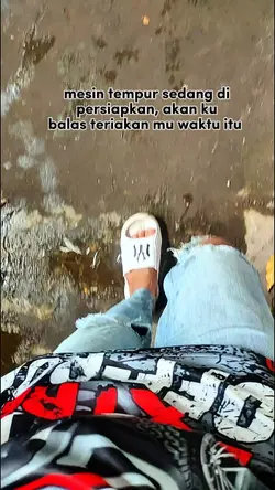 story ayam